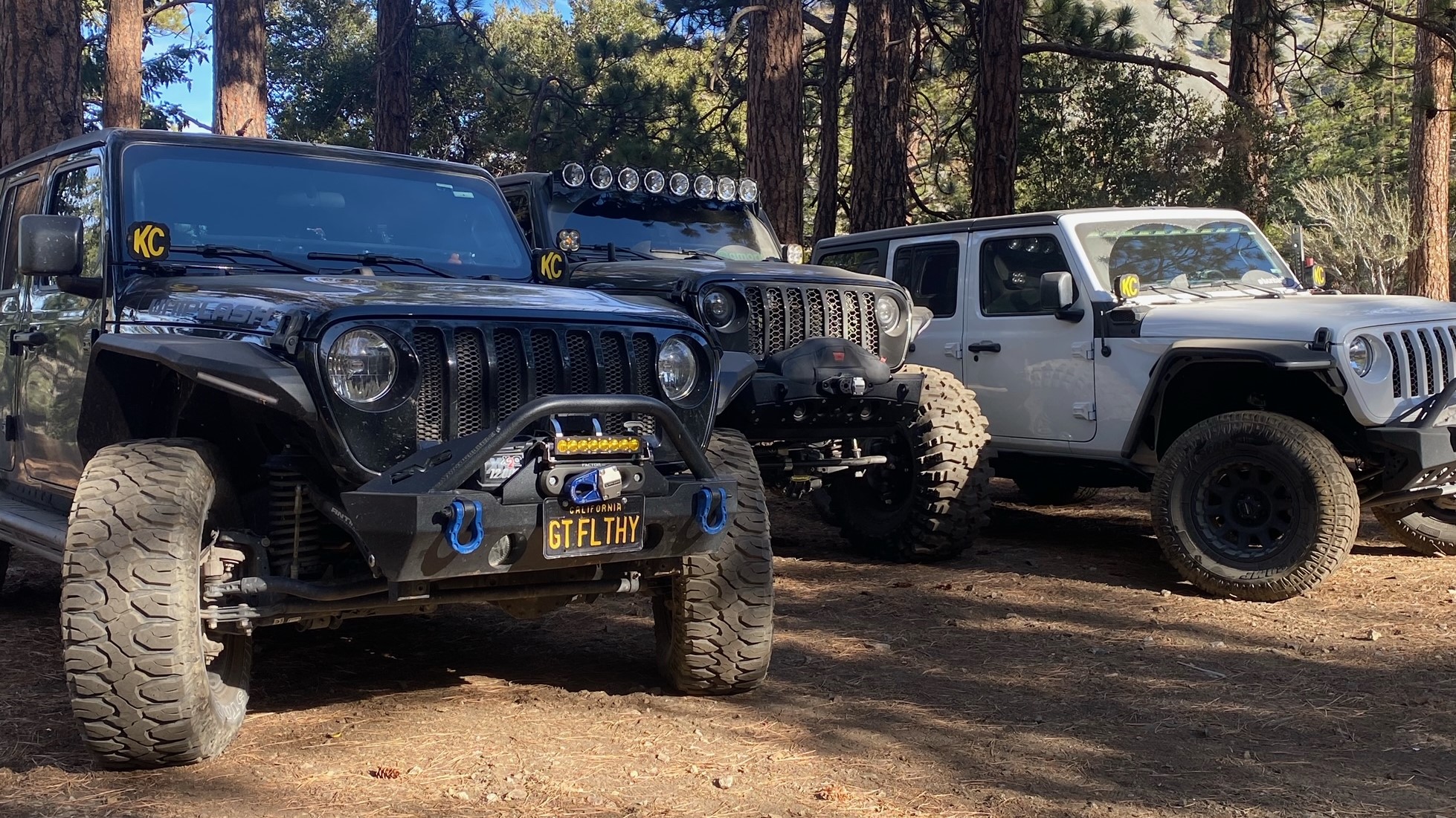 Black Flag Adventure