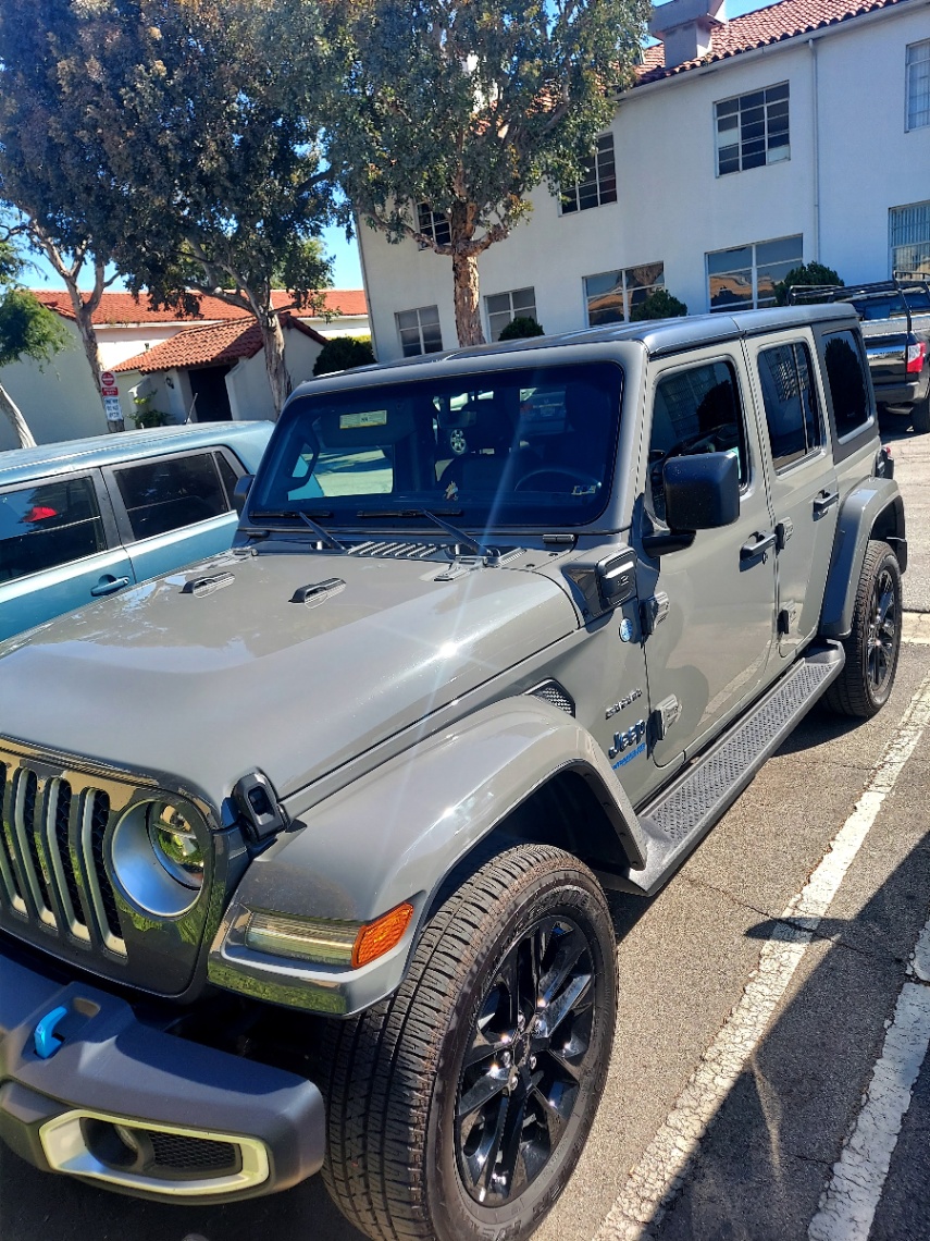 Wrangler Ladybetty