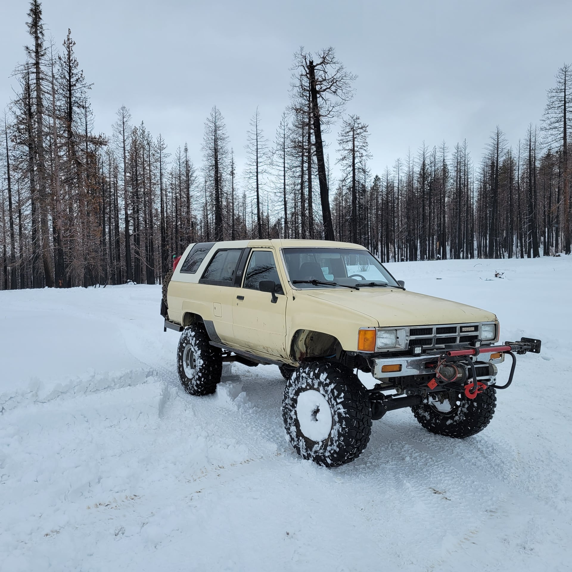 1985 4Runner Builder